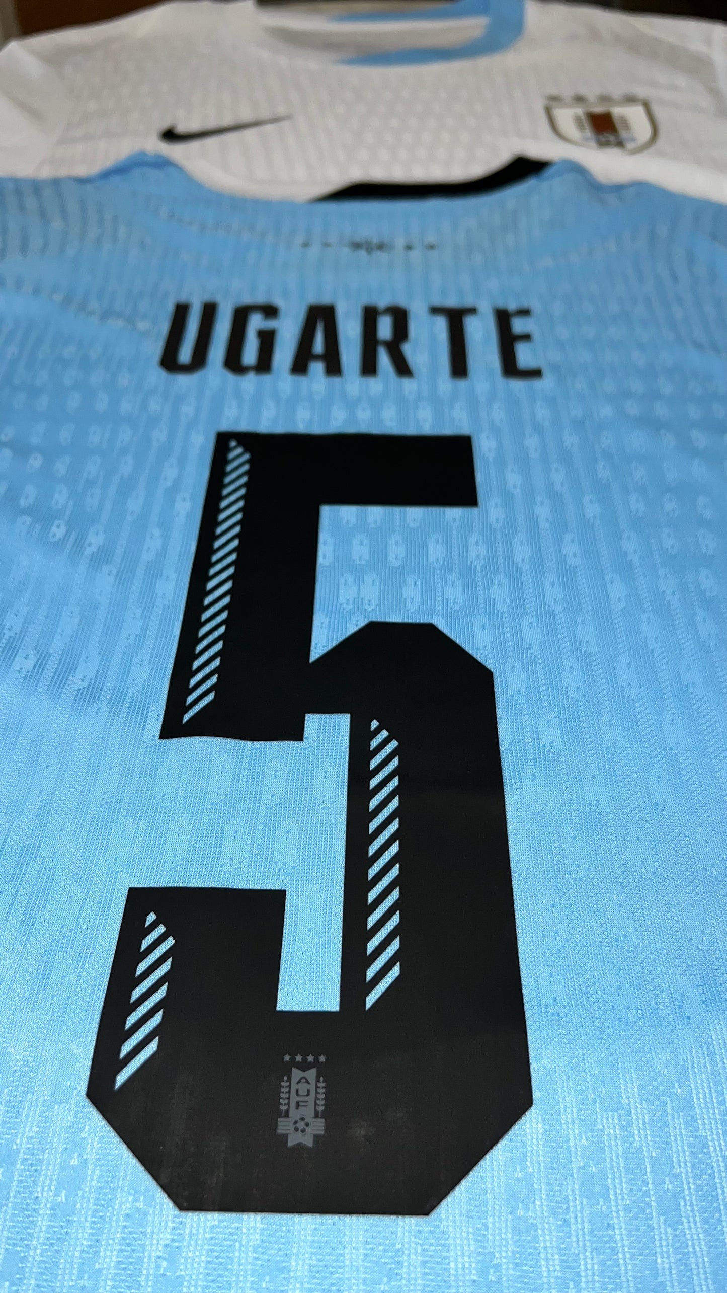 Uruguay 2024/25 Local - Versión Jugador