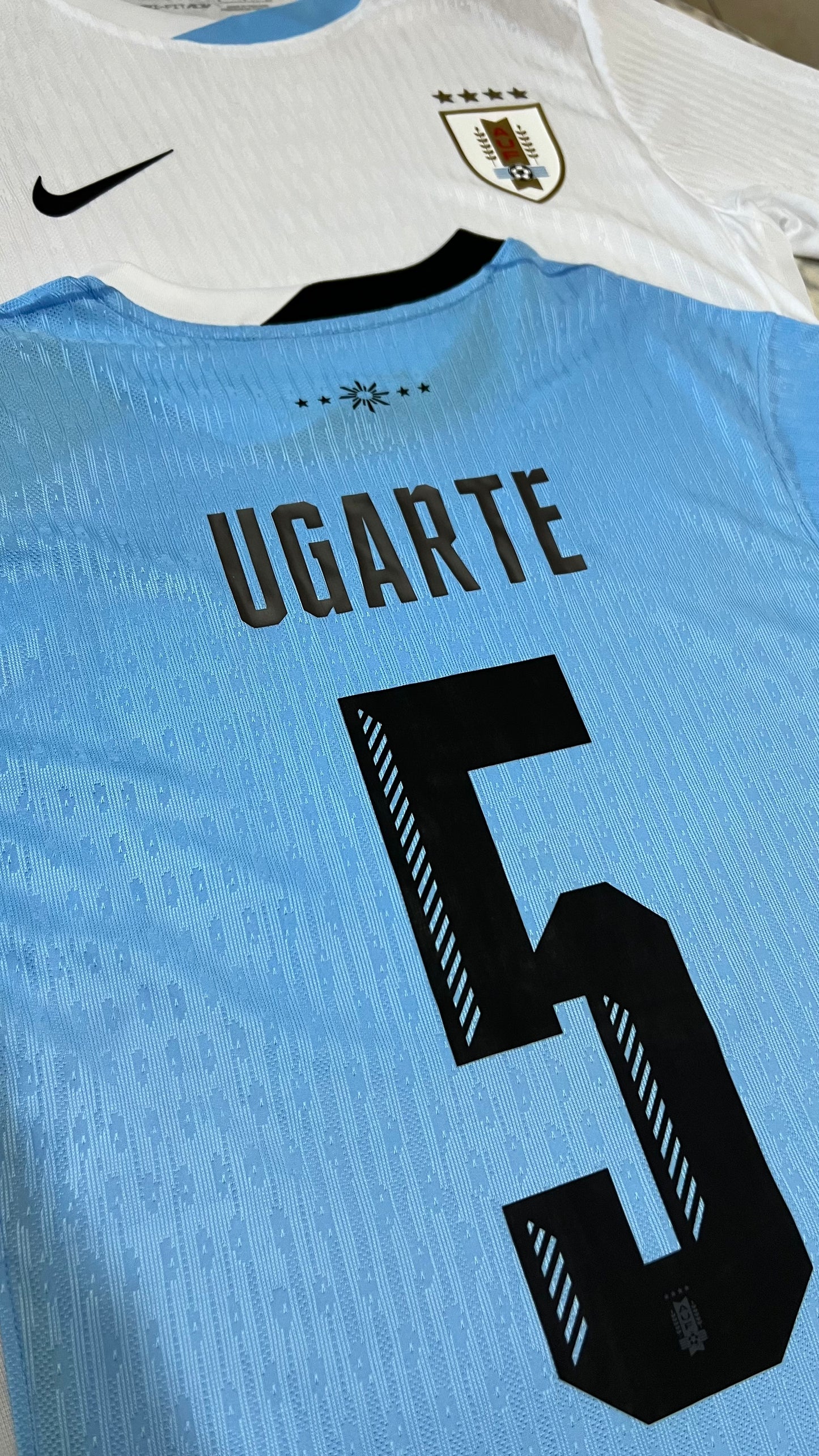 Uruguay 2024/25 Local - Versión Jugador