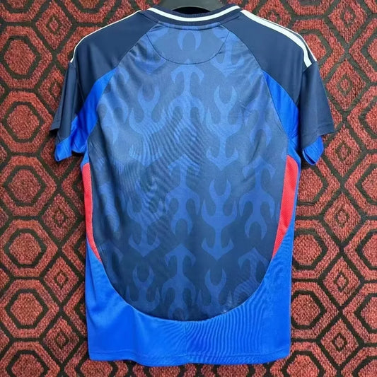 Japan 2024/25 Home - Fan Version