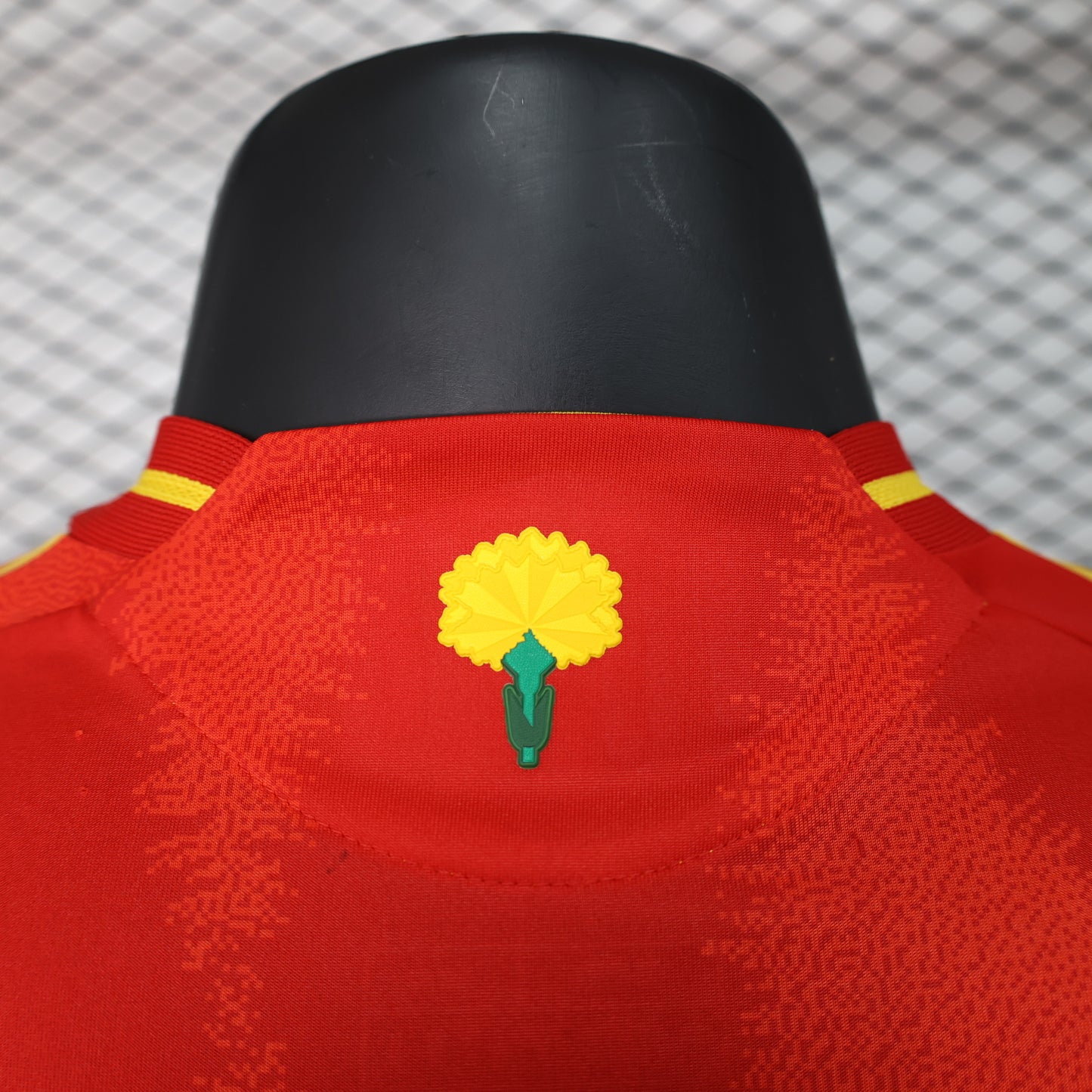 España 2024 Local - Versión Jugador