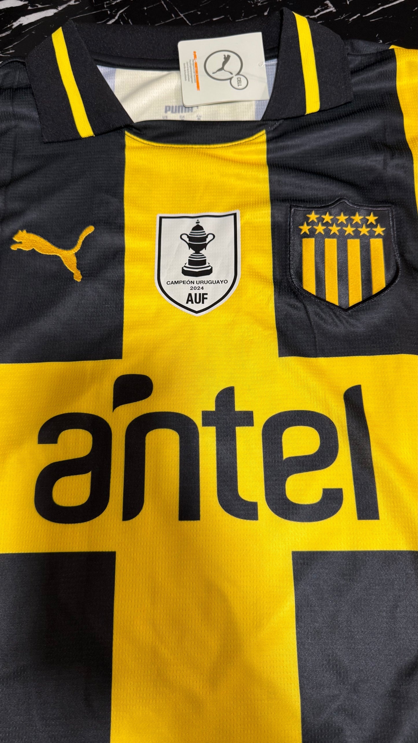 Peñarol 2025