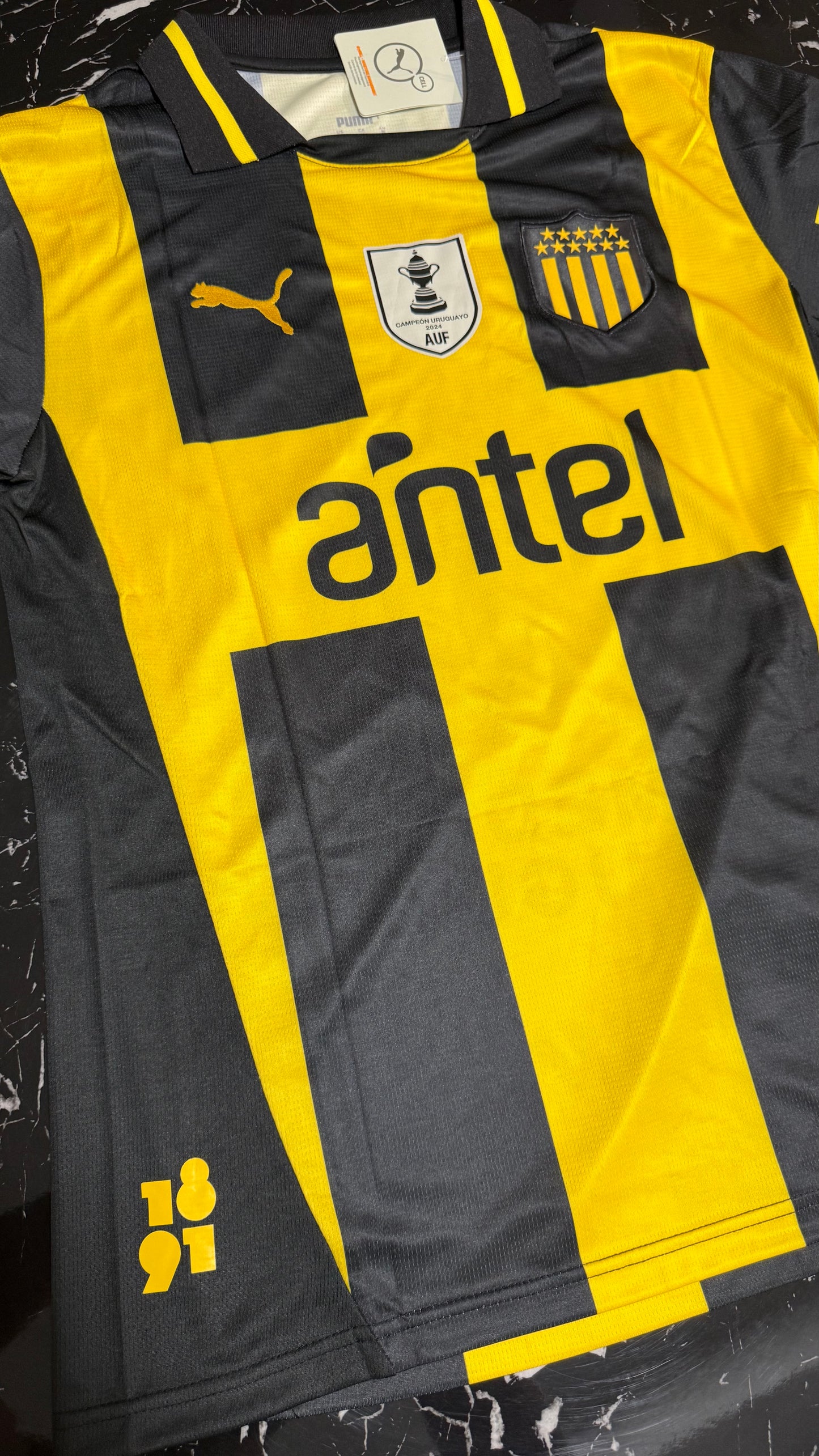 Peñarol 2025