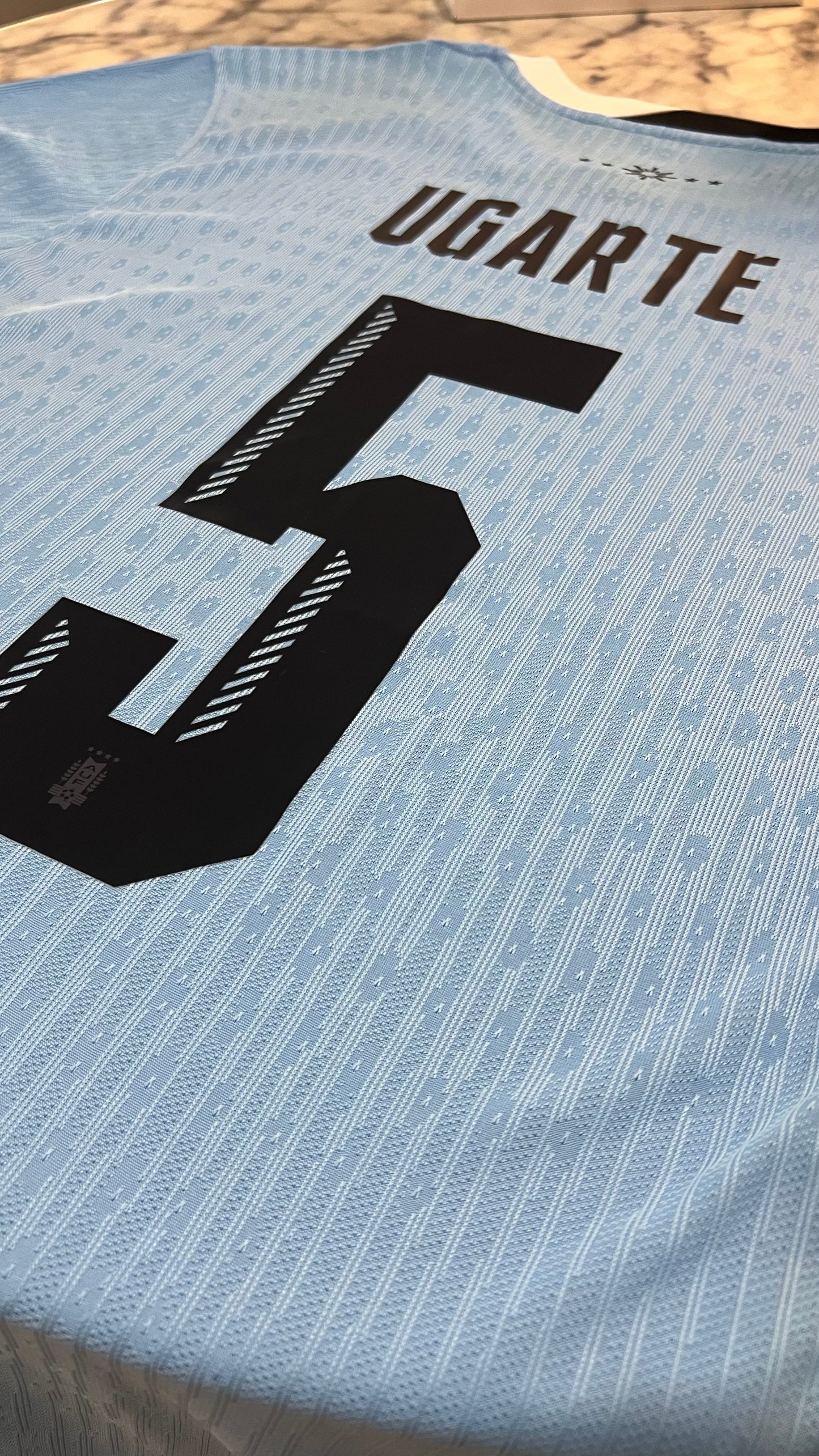 Uruguay 2024/25 Local - Versión Jugador
