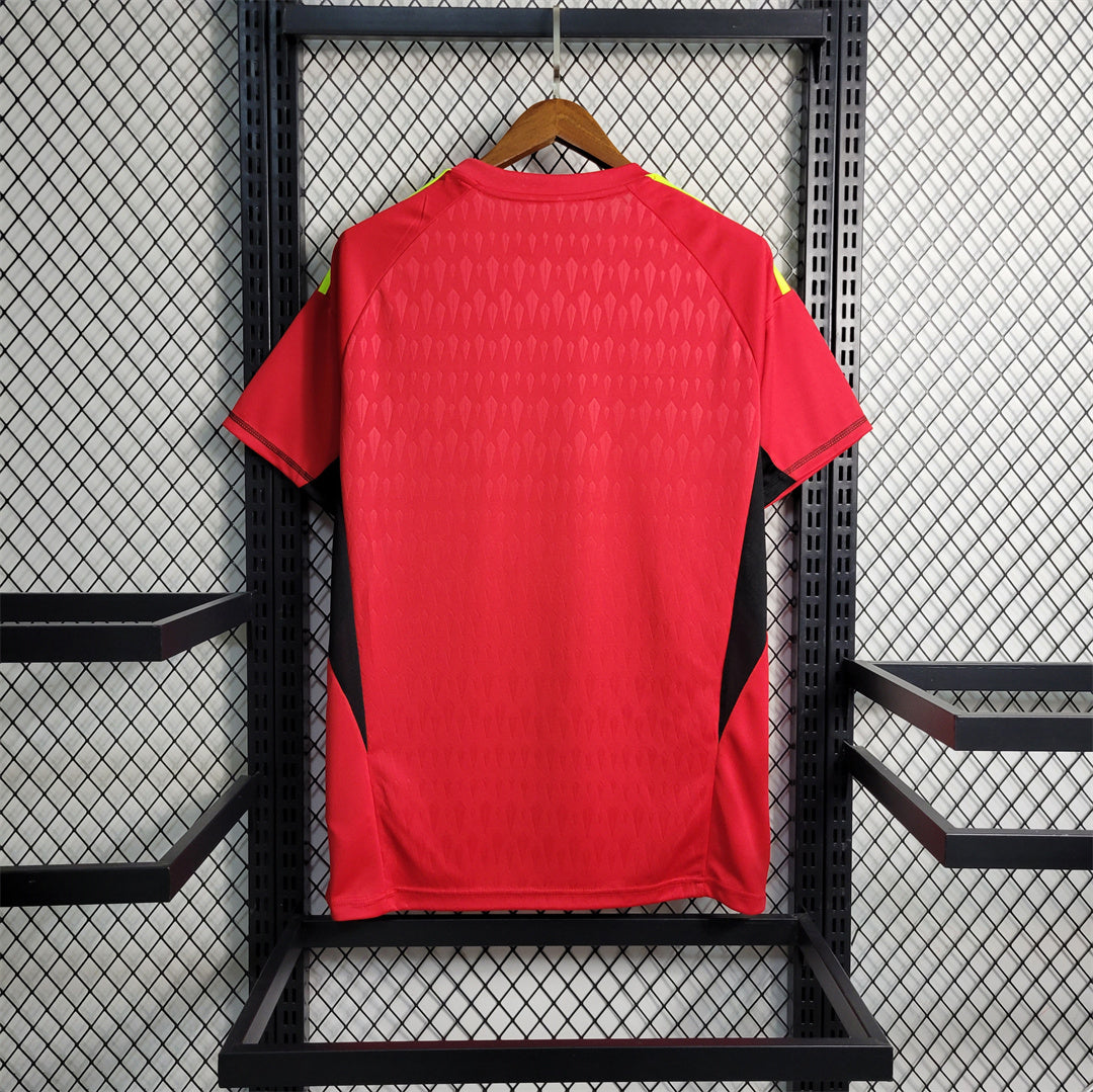 Argentina 2022 Arquero (Rojo) – Camiseta Versión Fan
