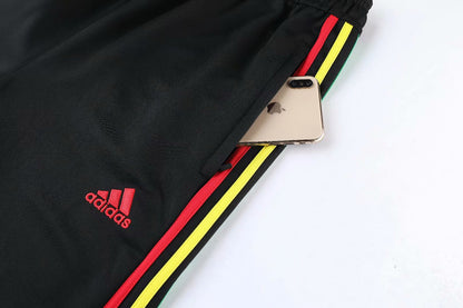 Conjunto deportivo Ajax
