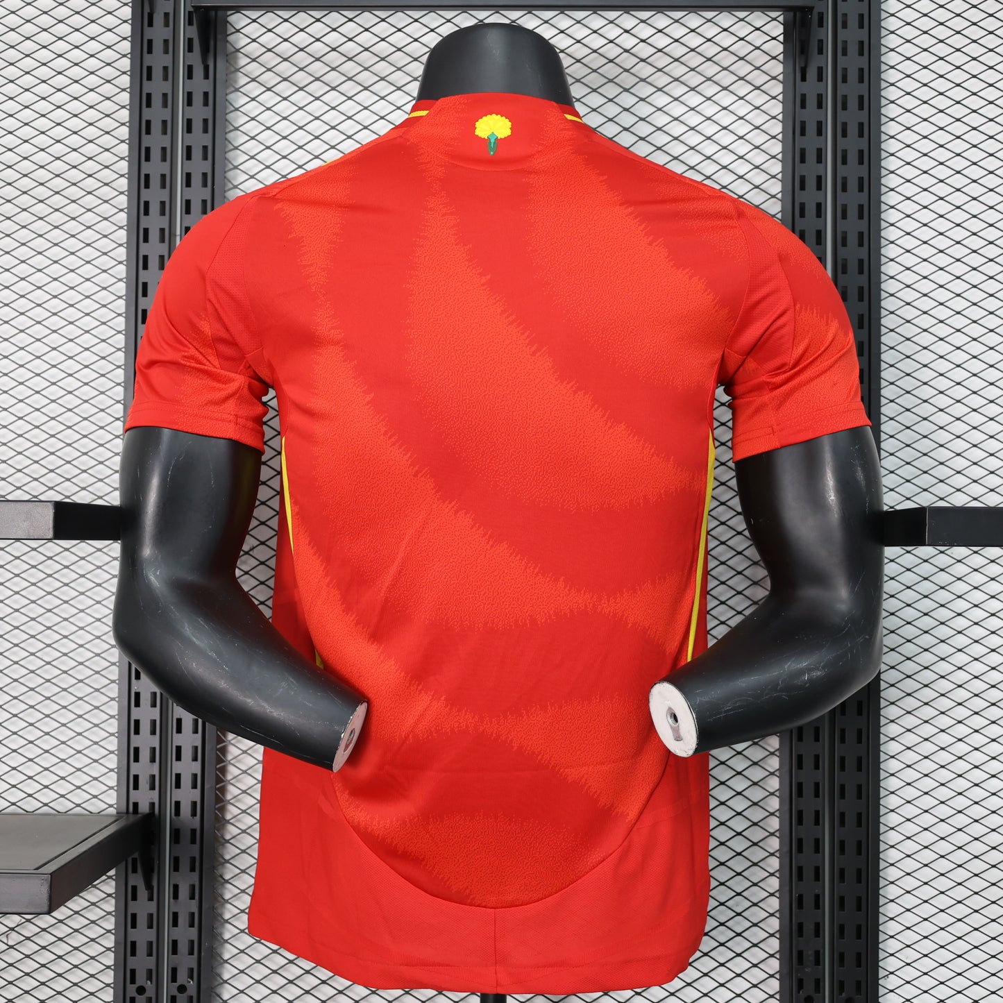España 2024 Local - Versión Jugador
