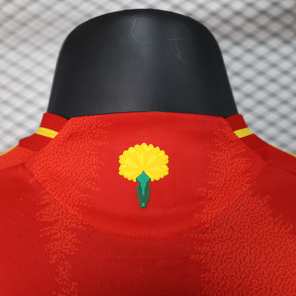 España 2024 Local - Versión Jugador