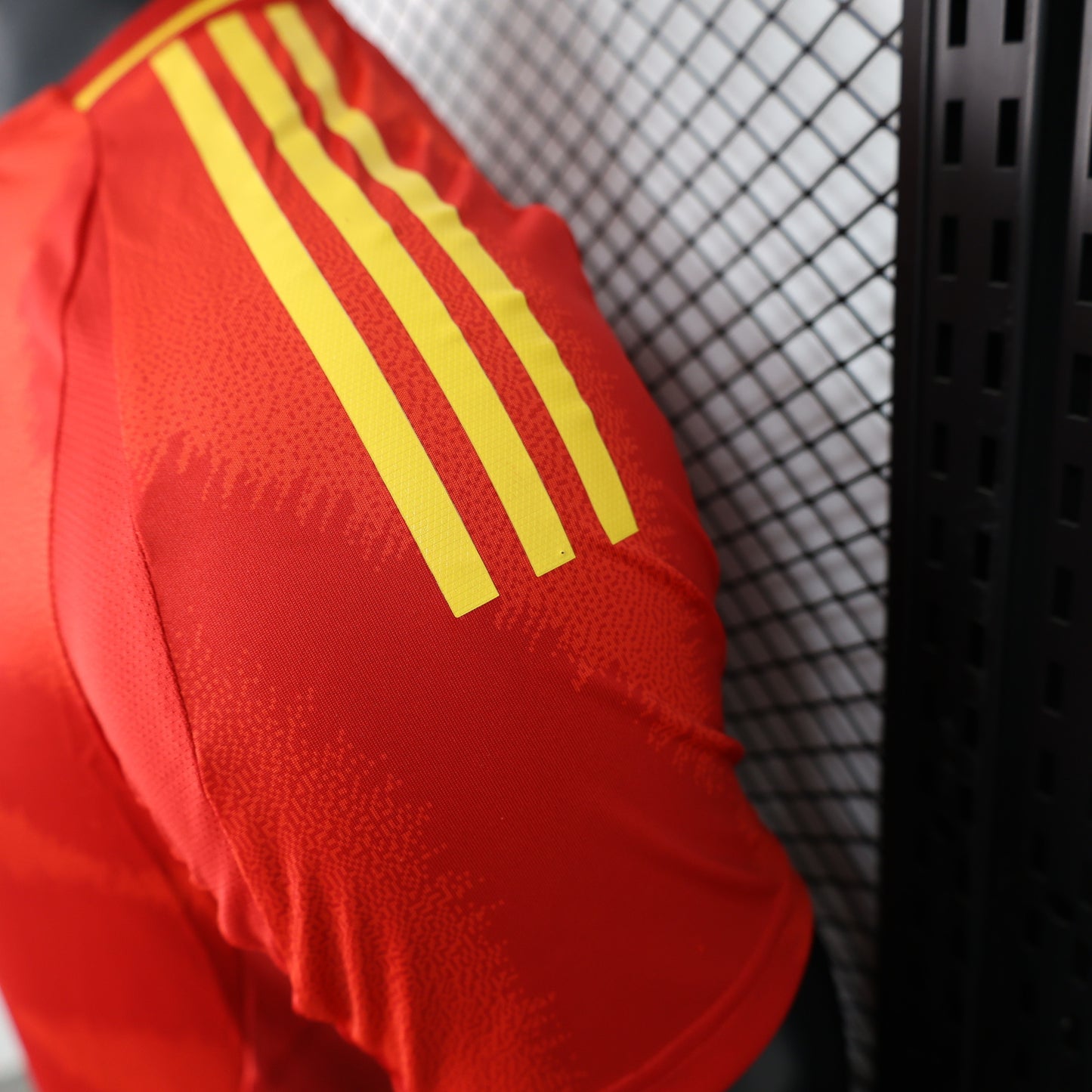 España 2024 Local - Versión Jugador
